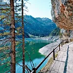 Edelweiss 25 - Dachstein West Gosau