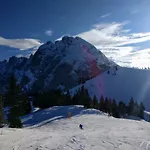 Apartamento Edelweiss 25 - Dachstein West Gosau