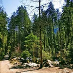 Edelweiss 25 - Dachstein West *