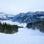 Edelweiss 25 - Dachstein West