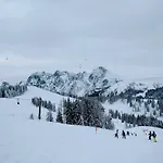 Edelweiss 25 - Dachstein West Gosau