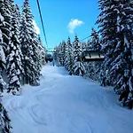 Edelweiss 25 - Dachstein West *