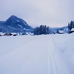 Appartamento Edelweiss 25 - Dachstein West Gosau