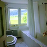 Edelweiss 25 - Dachstein West 格绍