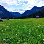 Edelweiss 25 - Dachstein West Gosau