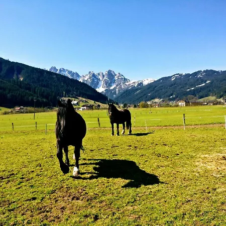 Edelweiss 25 - Dachstein West