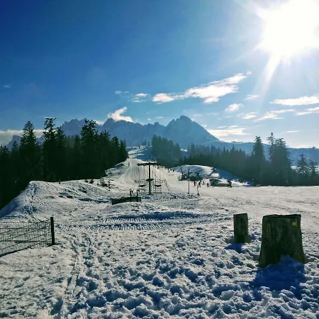 Edelweiss 25 Gosau