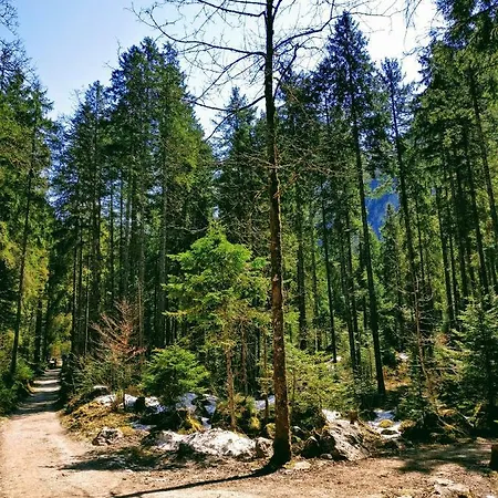 Edelweiss 25 - Dachstein West *