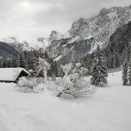 Edelweiss 25 - Dachstein West Apartmán *