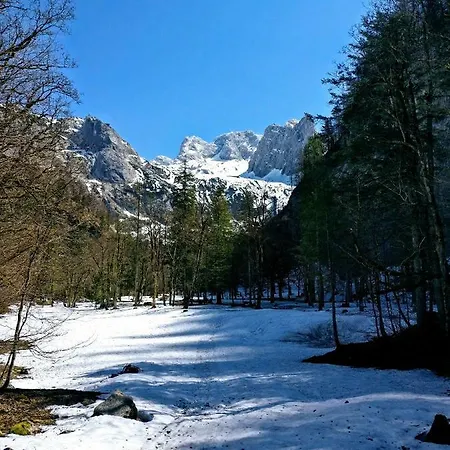 Lejlighed Edelweiss 25 Gosau