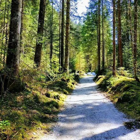 Edelweiss 25 - Dachstein West Apartament Gosau