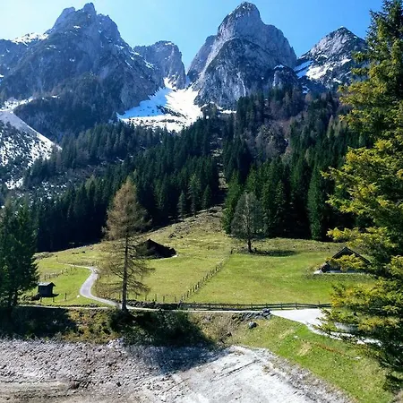 Edelweiss 25 * Gosau