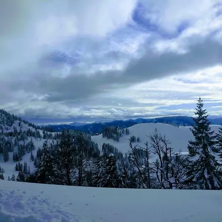 Edelweiss 25 - Dachstein West