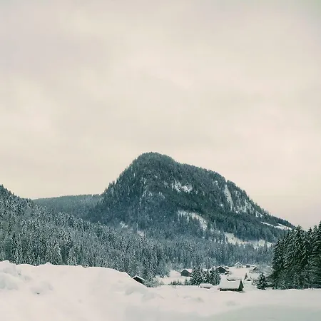 Apartment Edelweiss 25 Gosau