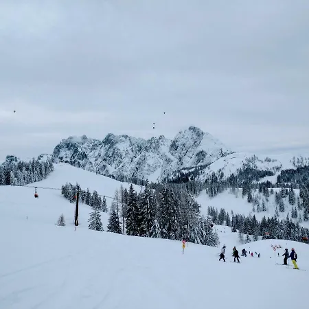 Edelweiss 25 - Dachstein West Gosau