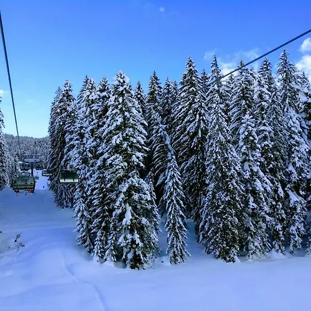 Edelweiss 25 Apartment *