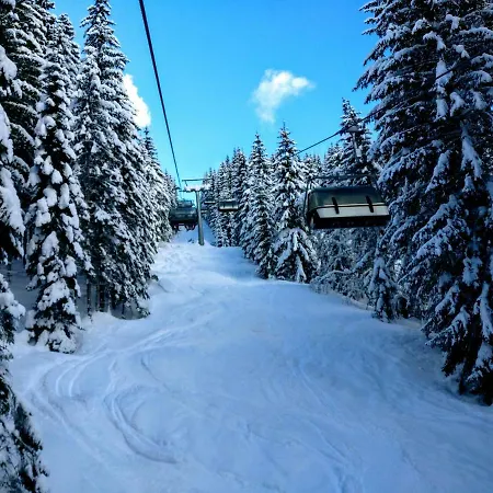 Edelweiss 25 - Dachstein West *