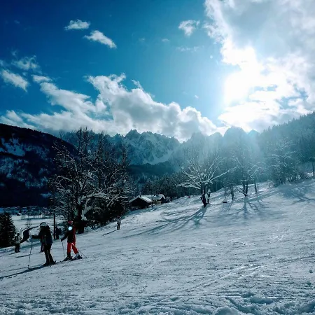 Apartament Edelweiss 25 - Dachstein West