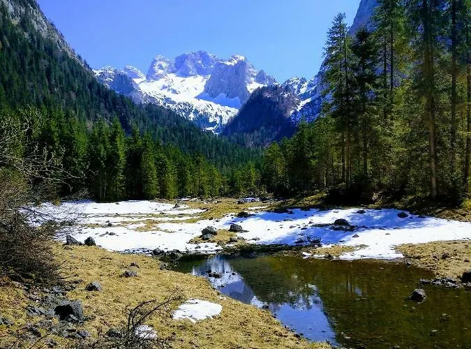 アパート Edelweiss 25 - Dachstein West ゴーザウ