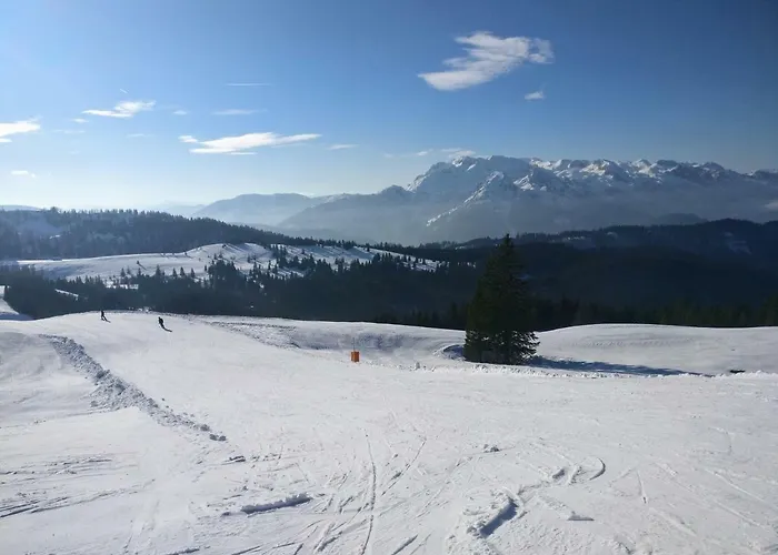 Edelweiss 25 - Dachstein West Apartament Gosau