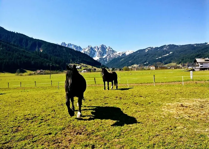 Edelweiss 25 - Dachstein West