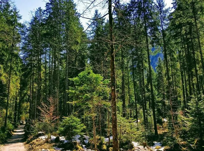 Edelweiss 25 - Dachstein West *