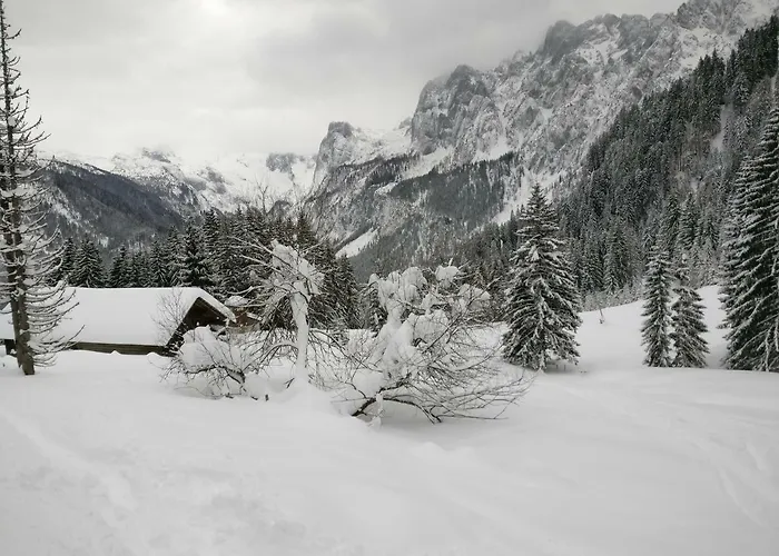 Edelweiss 25 - Dachstein West アパート *