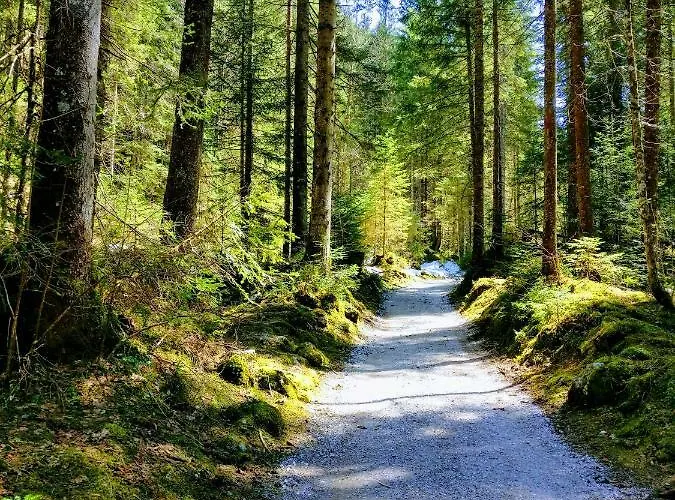 Edelweiss 25 - Dachstein West Apartament Gosau