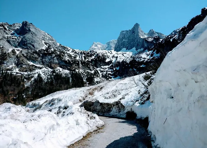 아파트 Edelweiss 25 - Dachstein West *