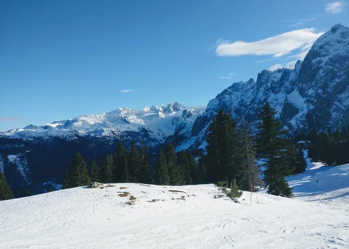 Apartamento Edelweiss 25 - Dachstein West *