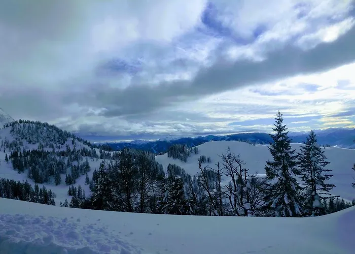 Edelweiss 25 - Dachstein West