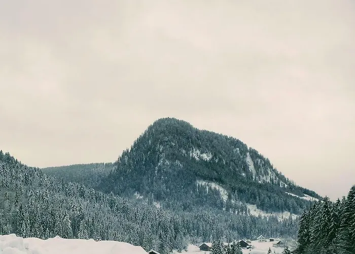 アパート Edelweiss 25 - Dachstein West ゴーザウ