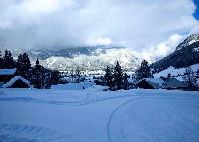 Edelweiss 25 - Dachstein West 아파트 *