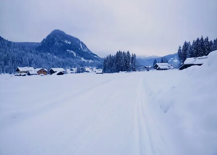 Apartament Edelweiss 25 - Dachstein West Gosau