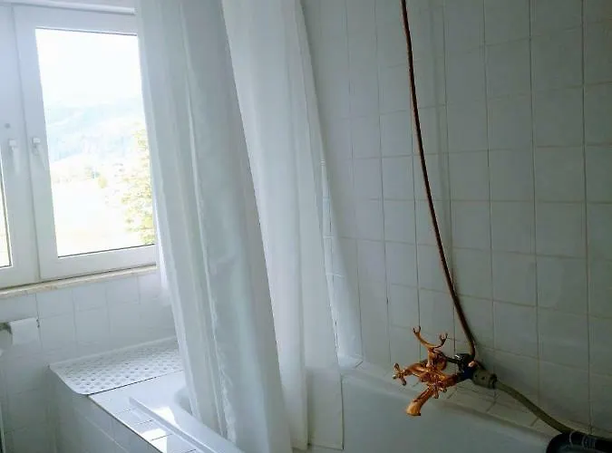 Edelweiss 25 - Dachstein West アパート