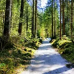 Edelweiss 25 - Dachstein West Apartament Gosau