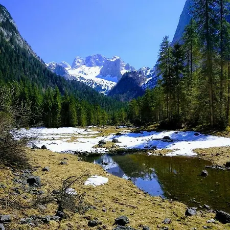 Апартаменты Edelweiss 25 - Dachstein West Гозау