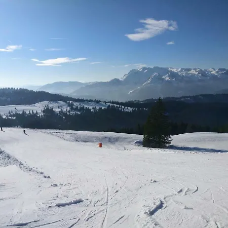 Edelweiss 25 Apartment Gosau