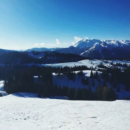 Edelweiss 25 * Gosau