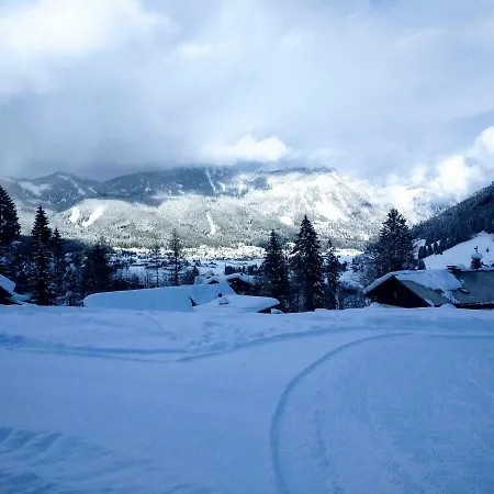 Edelweiss 25 - Dachstein West Lejlighed *