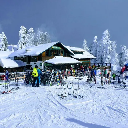 Edelweiss 25 - Dachstein West Апартаменты Гозау
