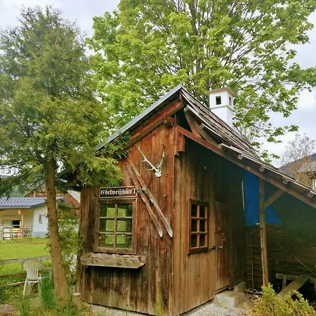 Apartment Edelweiss 25