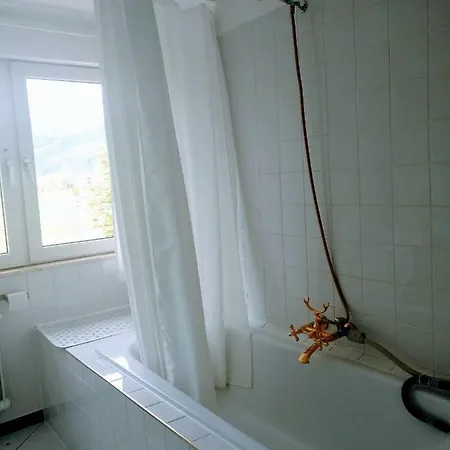 Edelweiss 25 Apartment