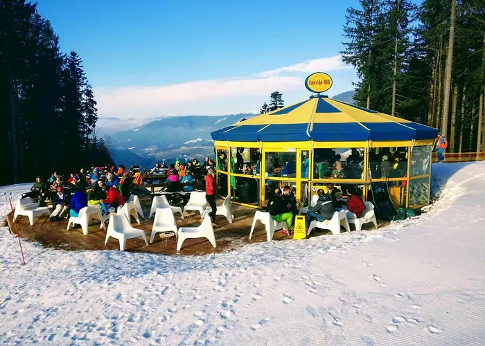 Edelweiss 25 - Dachstein West Lejlighed