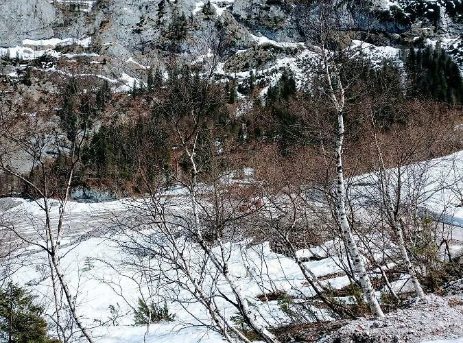 Lejlighed Edelweiss 25 - Dachstein West