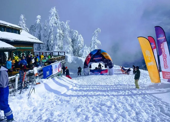 Edelweiss 25 - Dachstein West 아파트 *