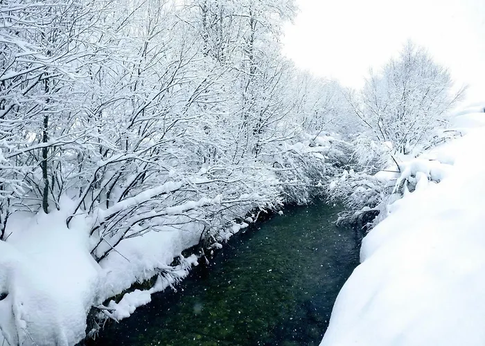 Edelweiss 25 - Dachstein West