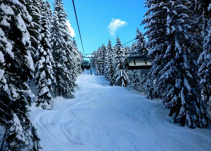 Edelweiss 25 - Dachstein West *