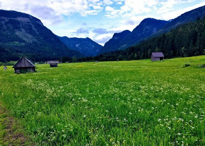 Edelweiss 25 - Dachstein West 고사우